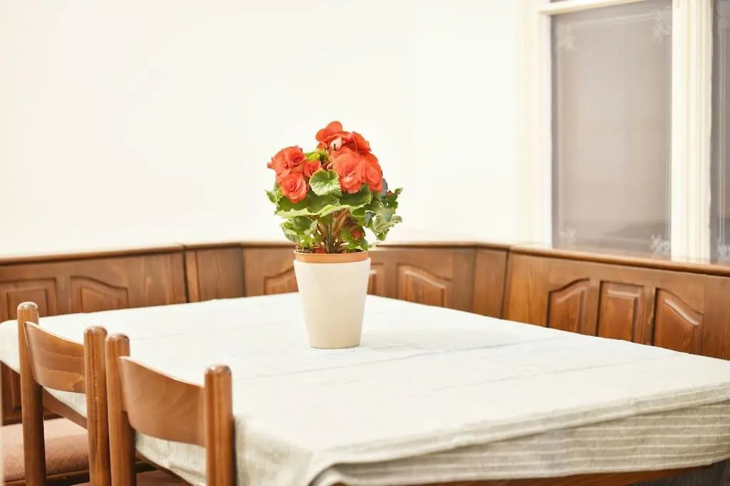 Charming Spacious Apartment Vienna